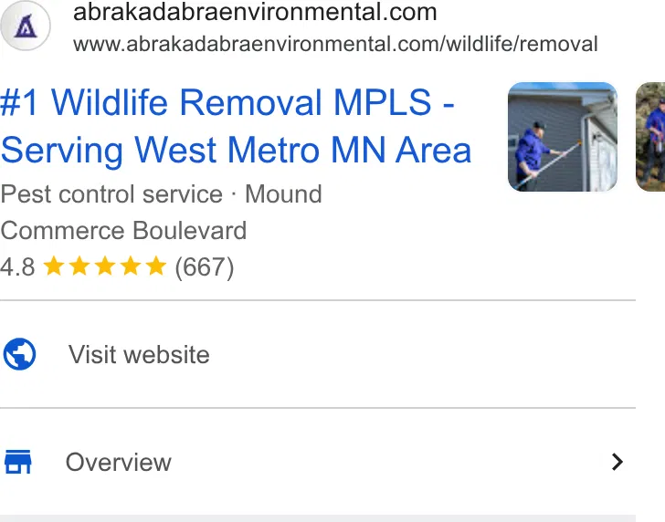 Abra Kadabra Environmental Services ad