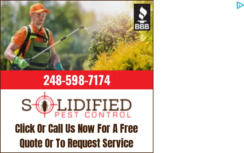Solidified Pest Control ad
