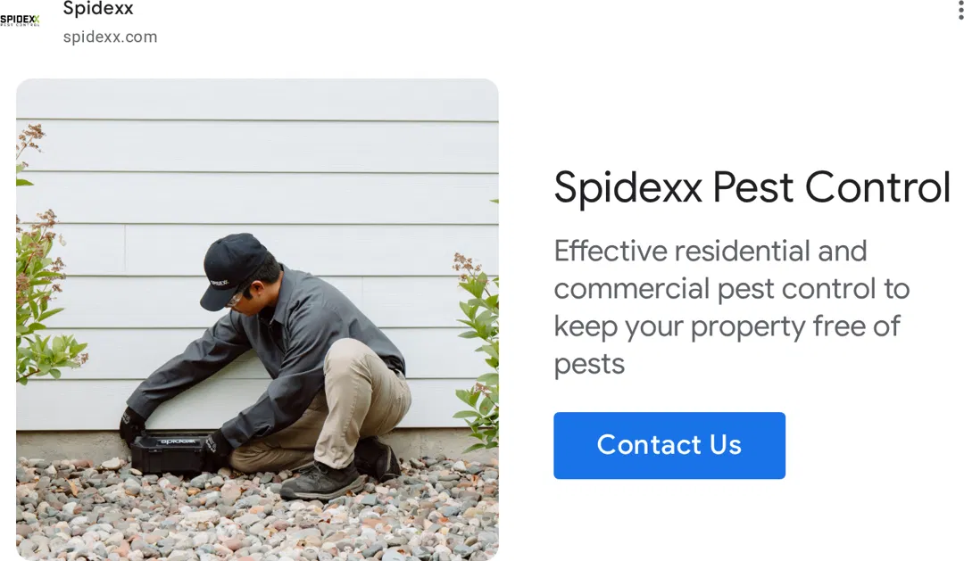 Spidexx Pest Control & Termite - Tampa ad