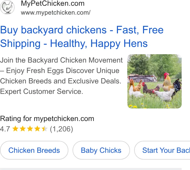 My Pet Chicken ad