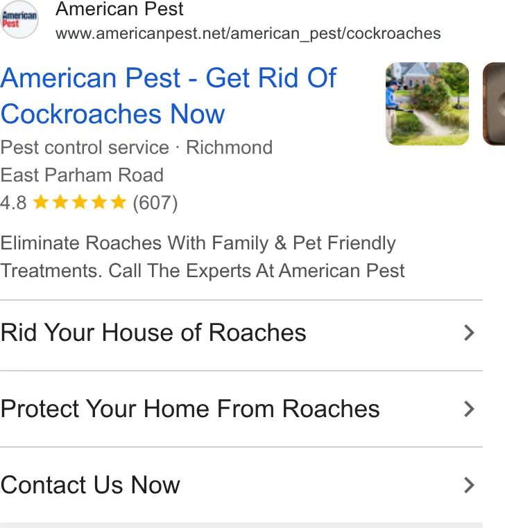 American Pest ad