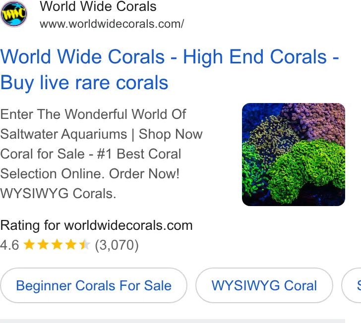 World Wide Corals ad