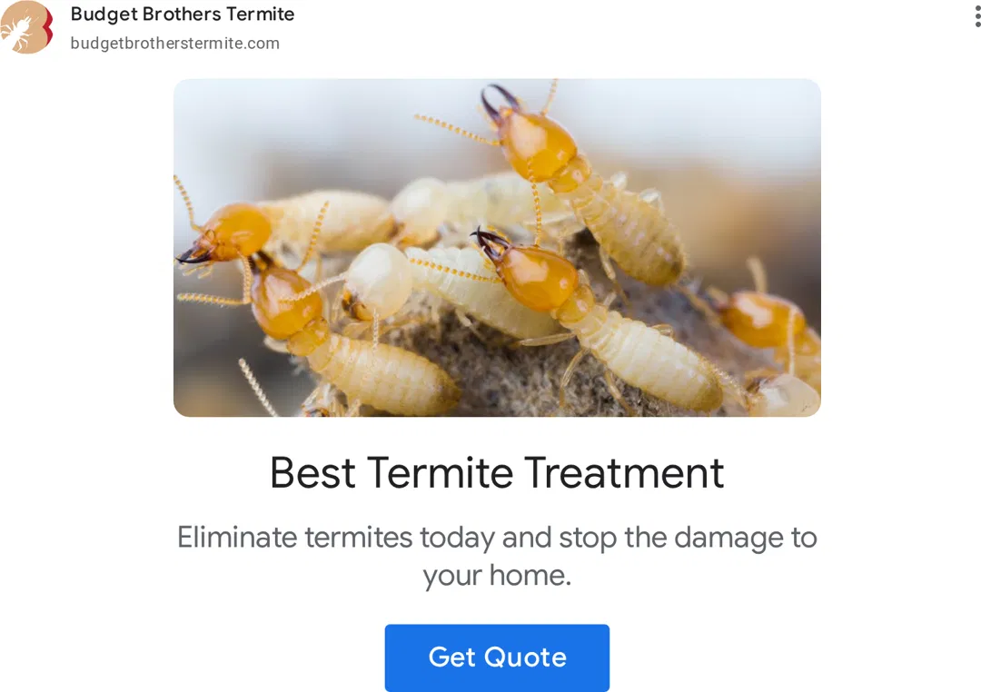 Budget Brothers Termite & Pest Elimination ad
