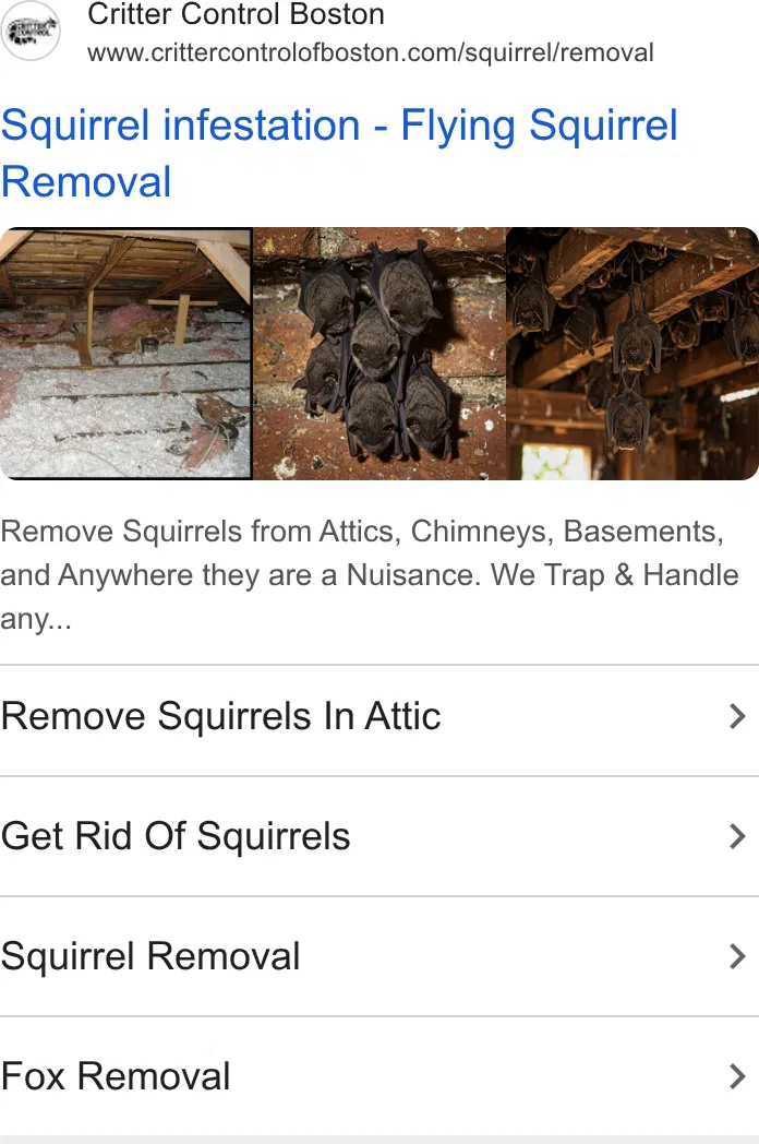 Critter Control of Greater Boston ad