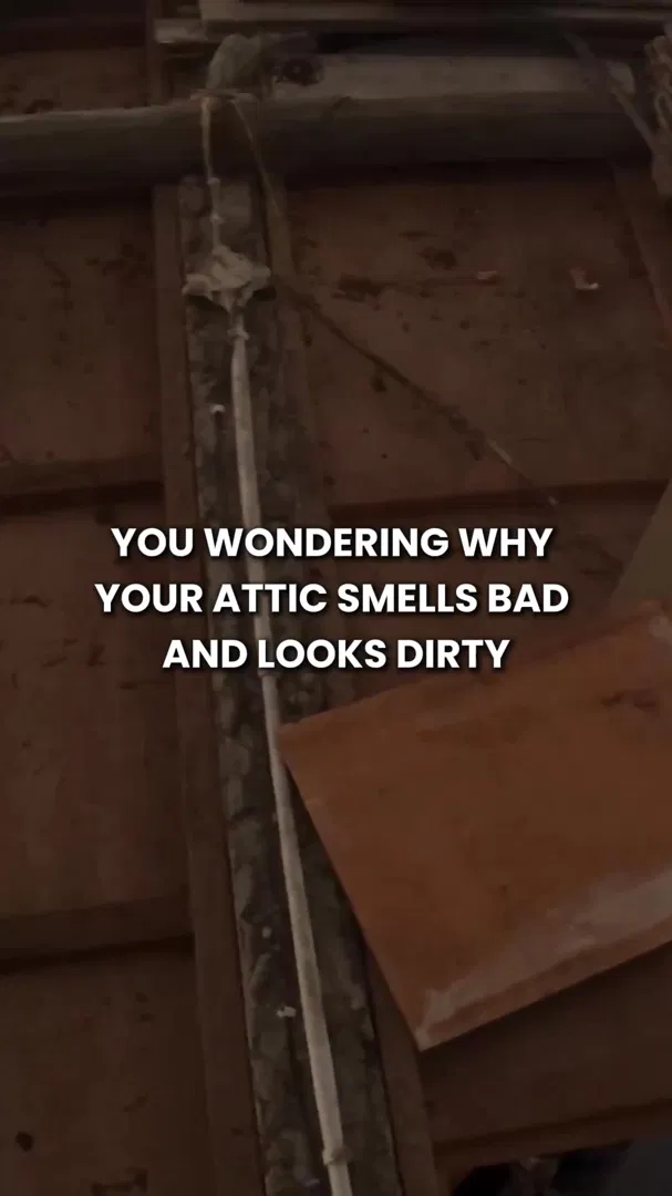 Abra Kadabra Environmental Services ad