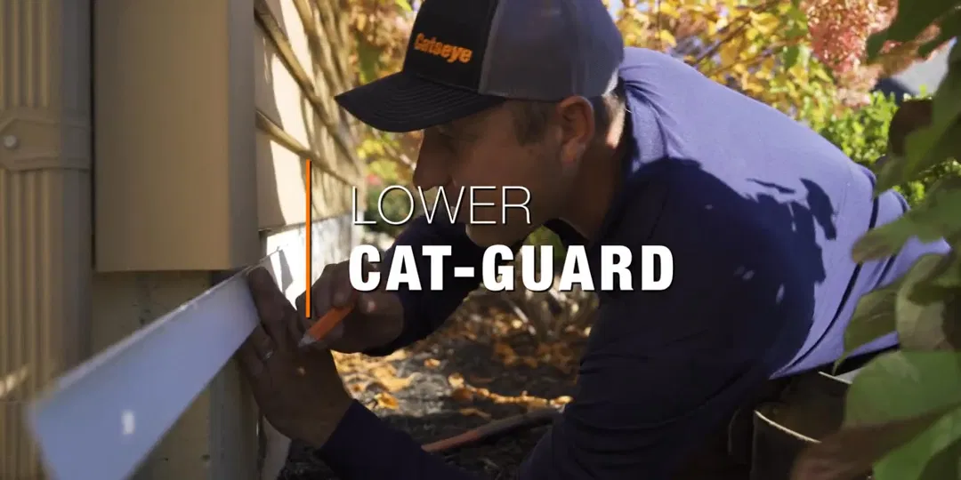 Catseye Pest Control - Boston, MA ad
