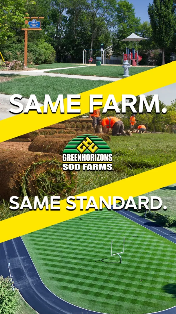 Green Horizons Lawn Care ad