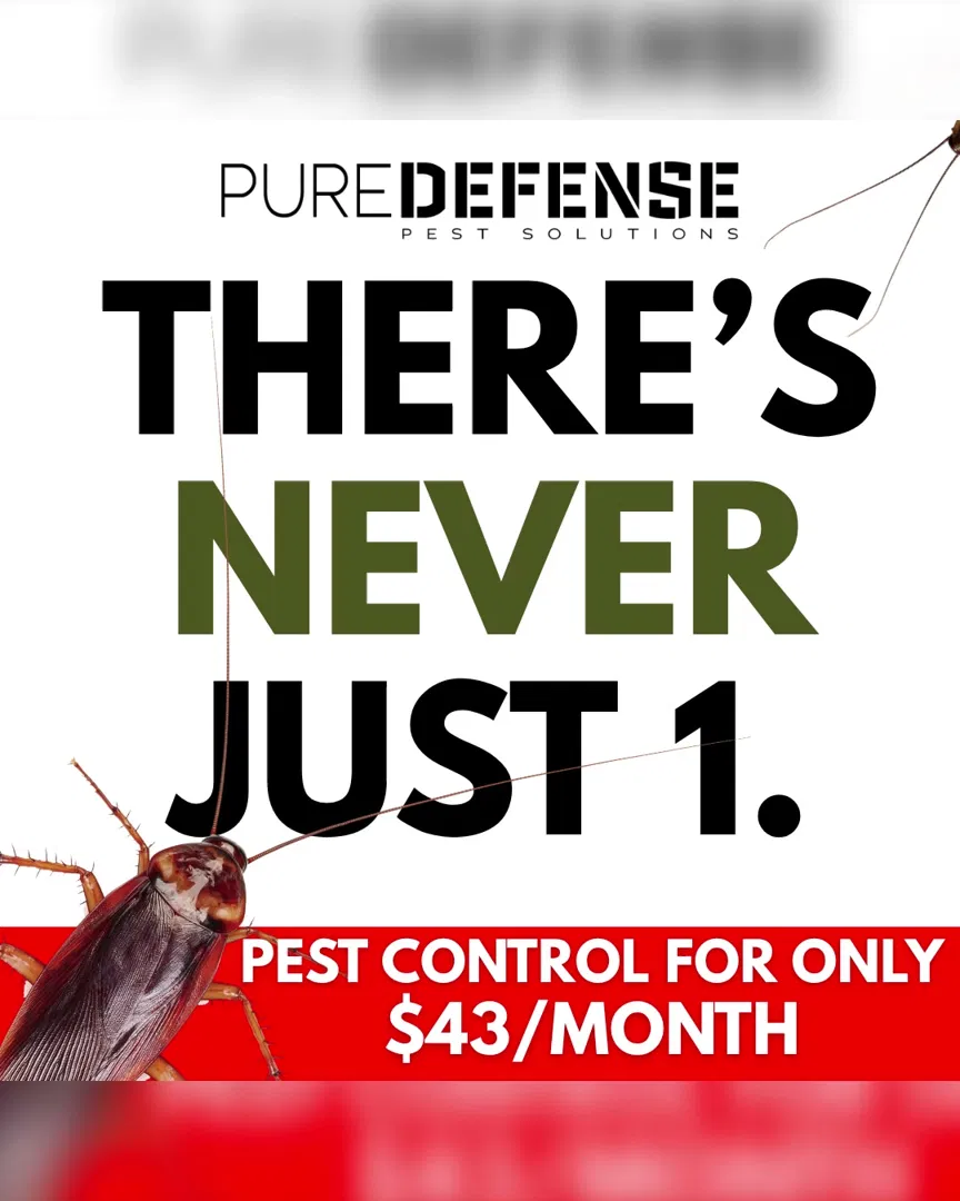 PureDefense Pest Solutions ad