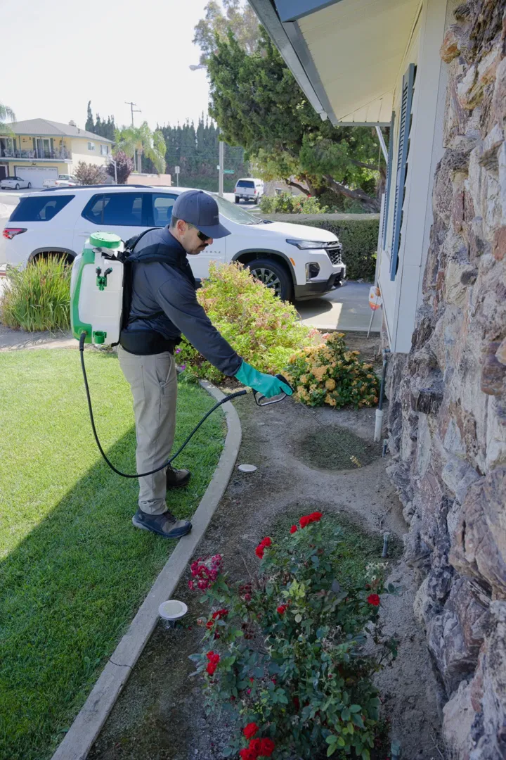 Preventive Pest Control ad