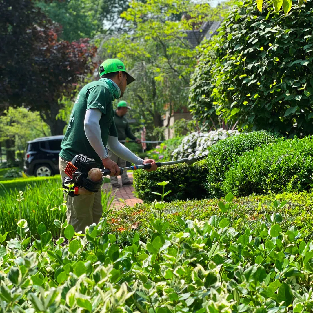 Lucia Landscaping ad