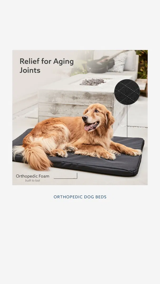 K9 Ballistics ad