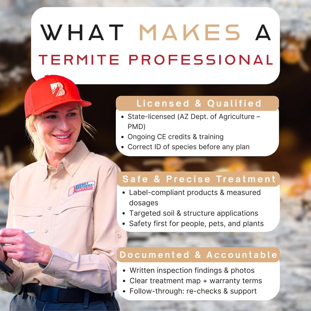 Budget Brothers Termite & Pest Elimination ad