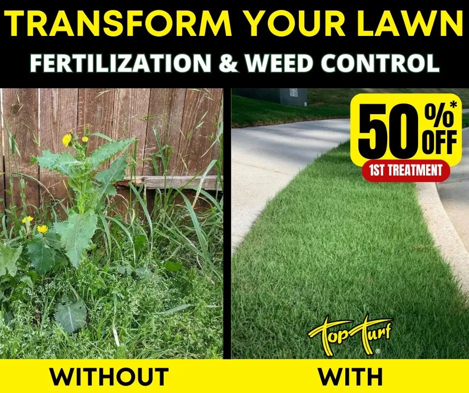 Top Turf Lawn Care and Pest Management ad