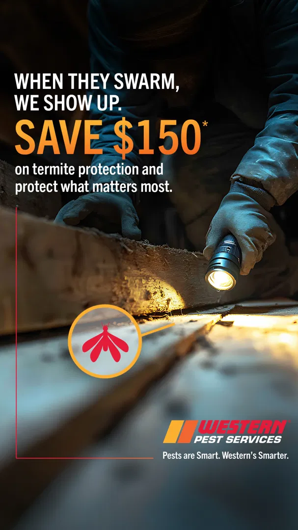 Western Pest Services - Pest Control, Mountainside, NJ ad