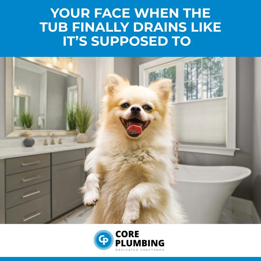 Core Plumbing ad