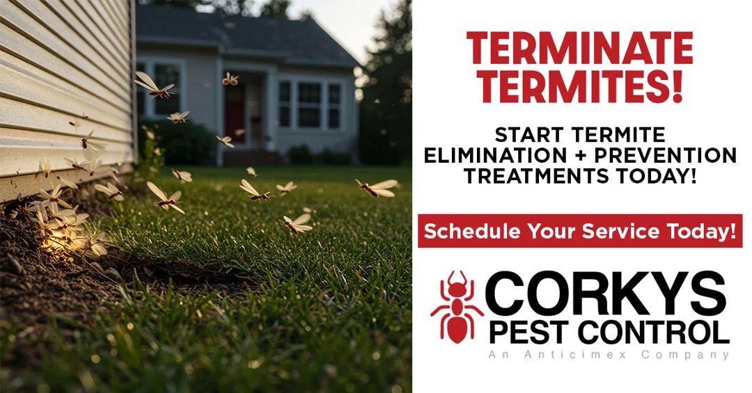 Corky's Pest Control ad