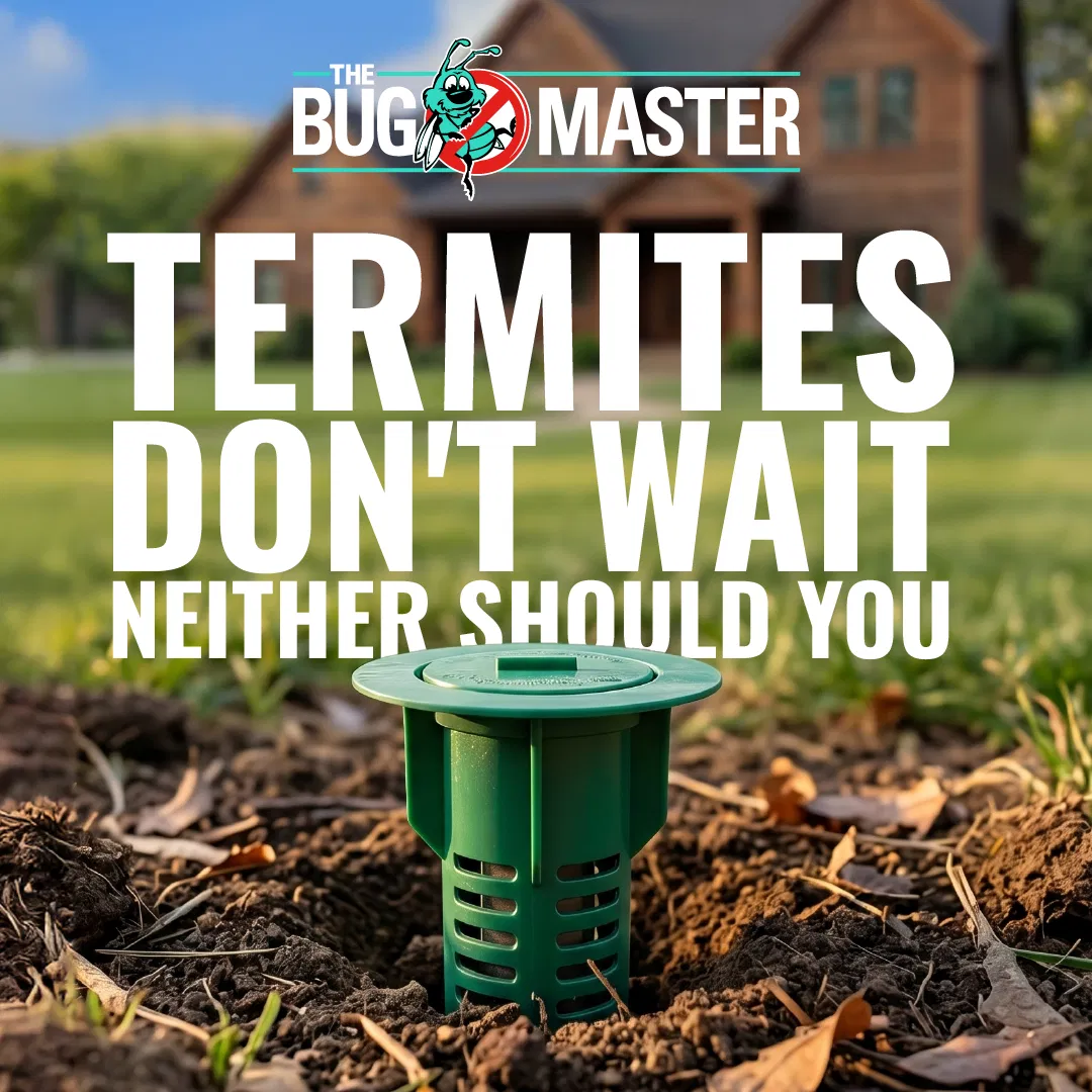 The Bug Master ad