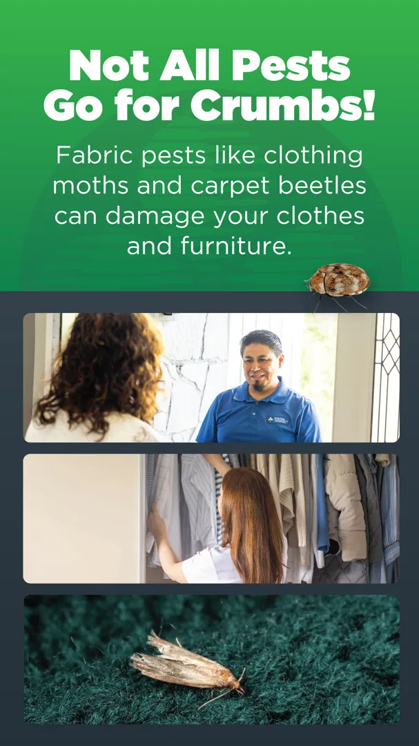 JP McHale Pest Management ad
