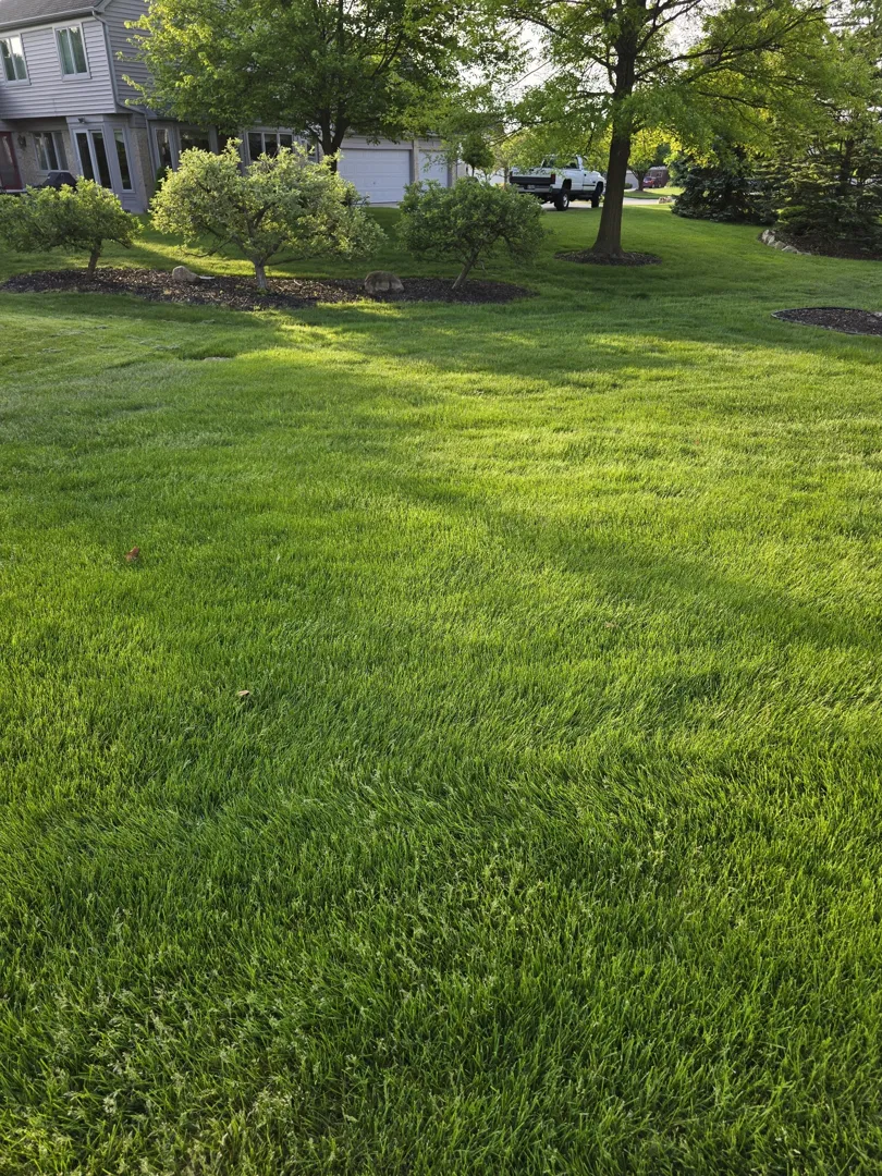 Independent Lawn Service - Fertilization & Weed Control ad