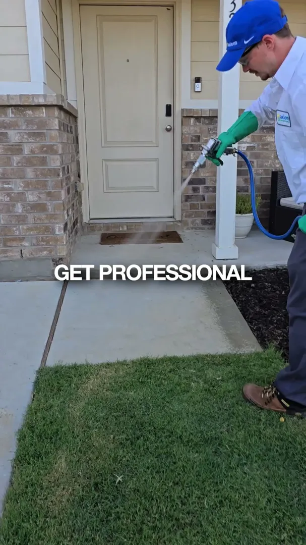 Axiom Eco-Pest Control ad