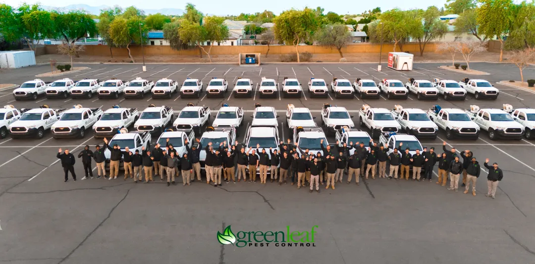 Greenleaf Pest Control ad