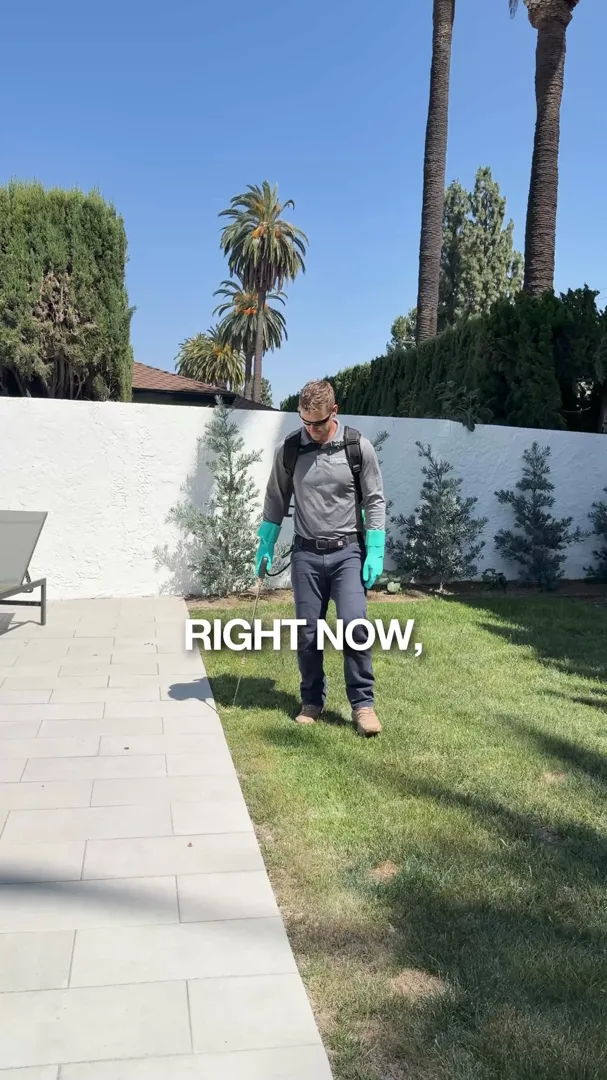 Admiral Pest Control ad