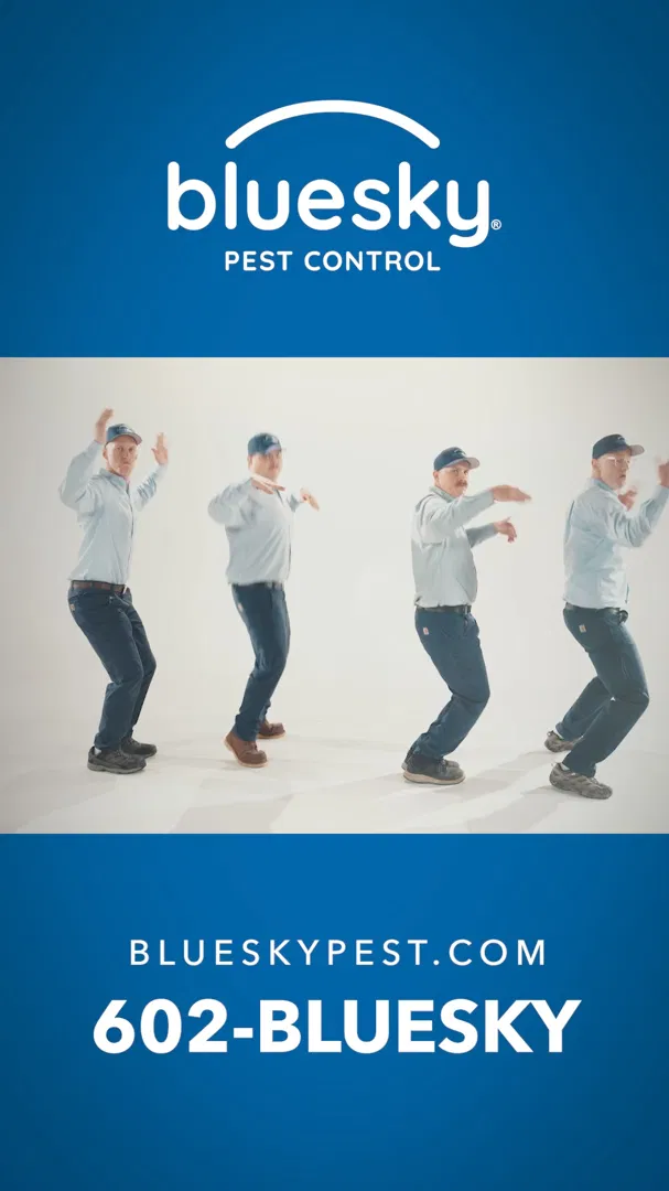 Blue Sky Pest Control ad