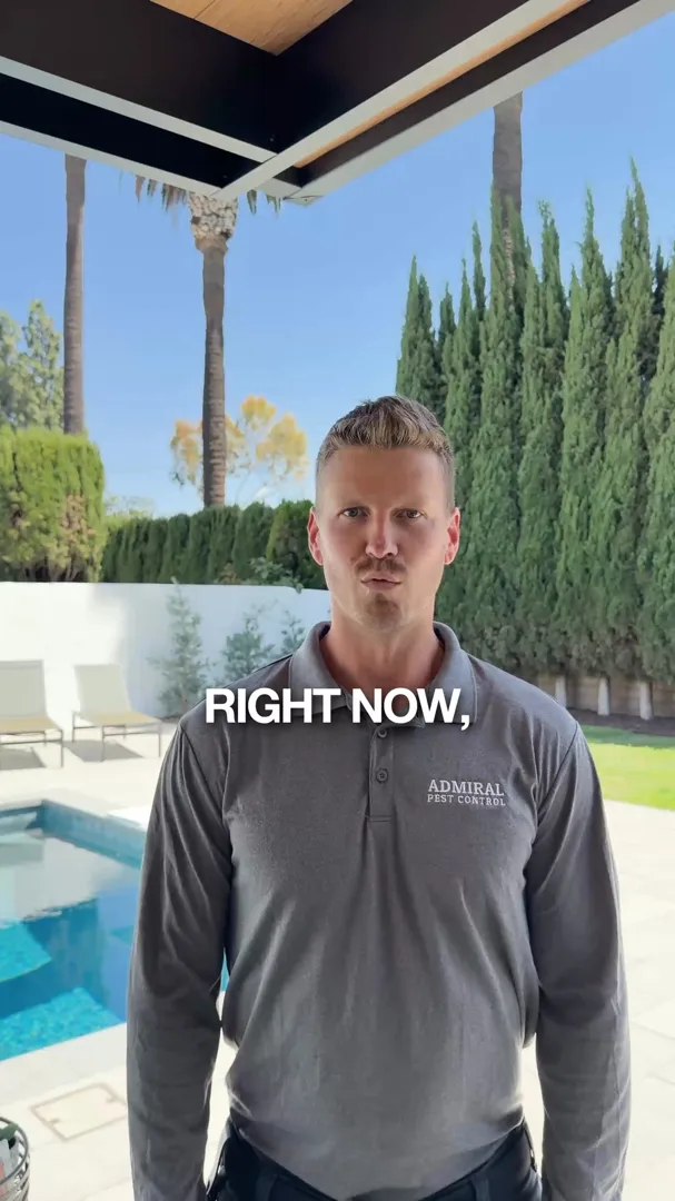 Admiral Pest Control ad