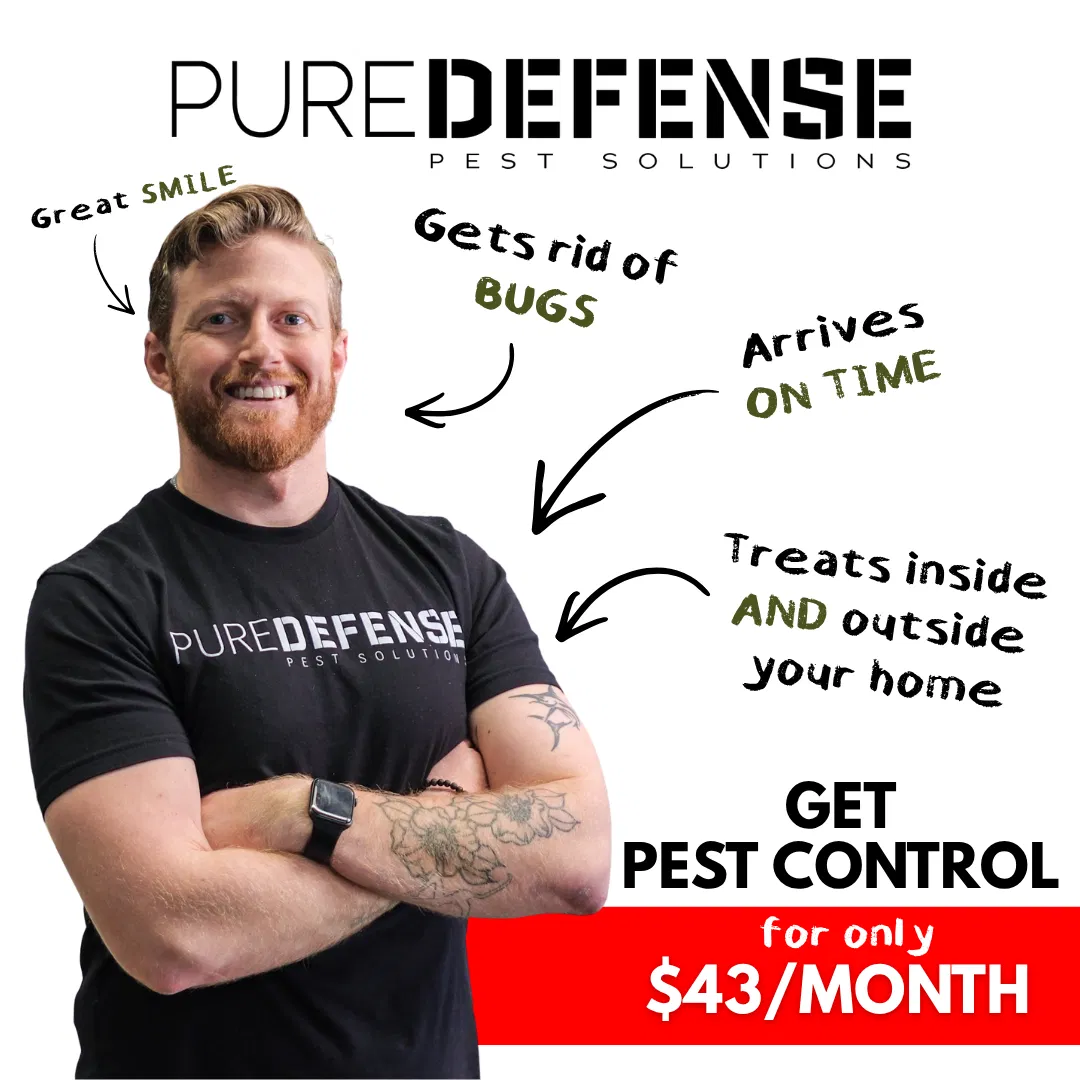 PureDefense Pest Solutions ad