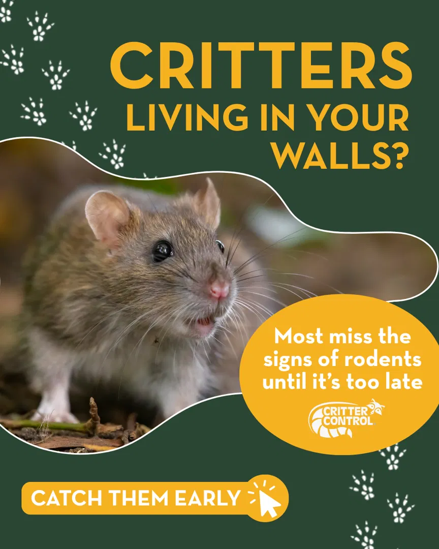 Critter Control Dallas Ft Worth ad