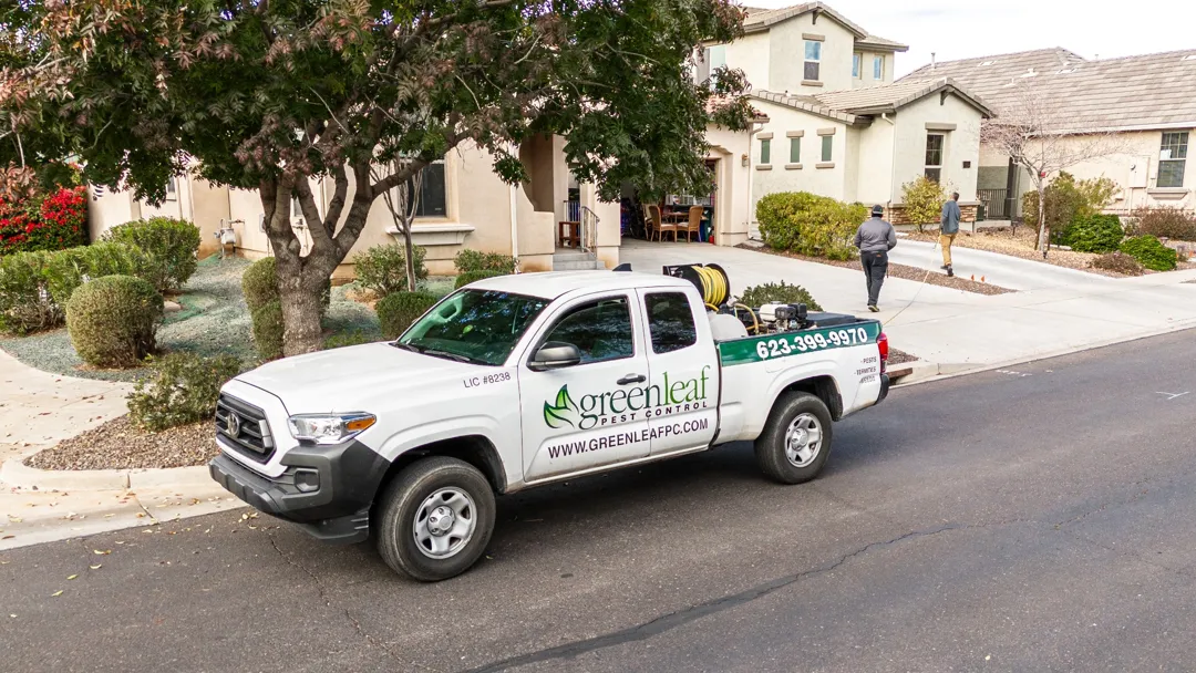 Greenleaf Pest Control ad