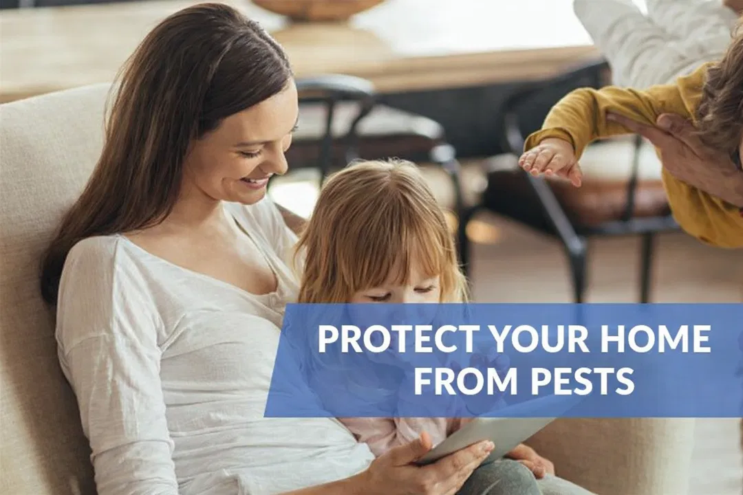 Smithereen Pest Management Services ad
