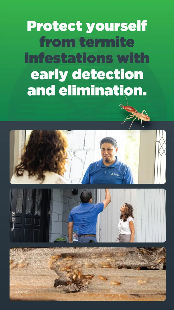 JP McHale Pest Management ad