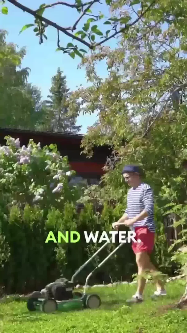 Top Turf Lawn Care and Pest Management ad