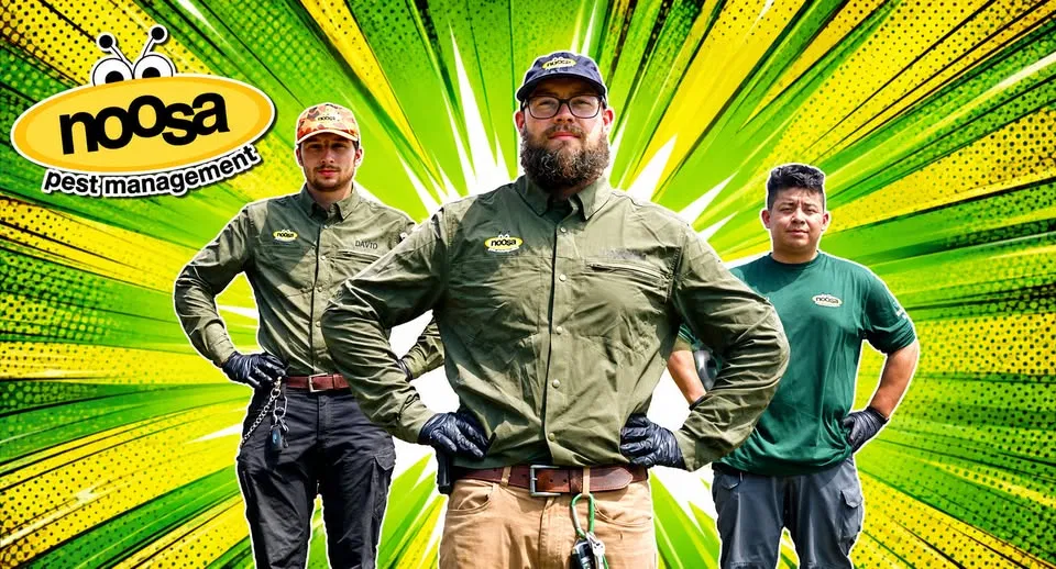 Noosa Pest Management LLC ad