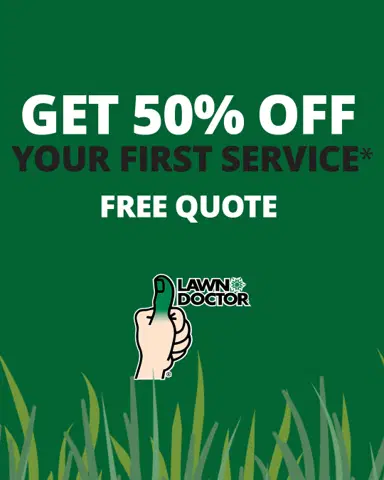 Lawn Doctor of NW Atlanta ad
