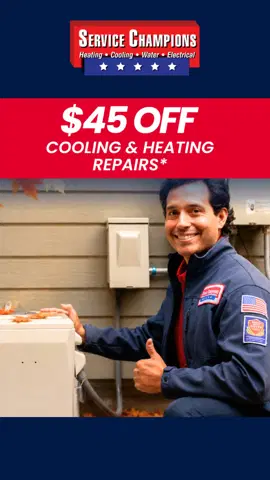 Service Champions ad
