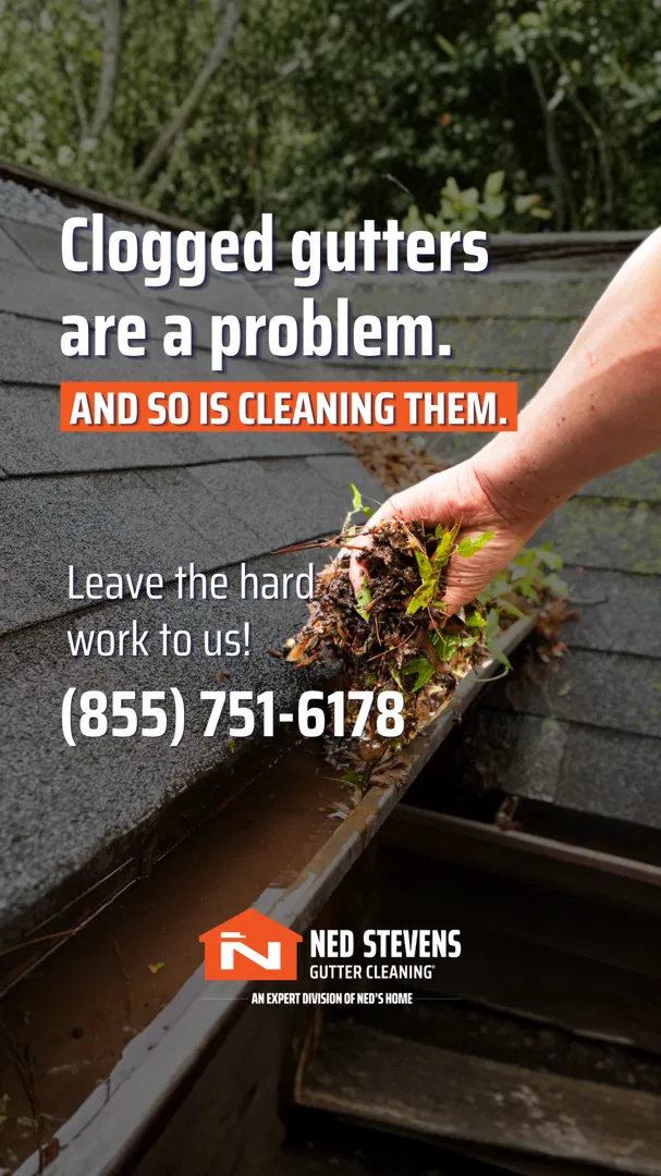Ned’s Pest Control and Lawn Treatment ad
