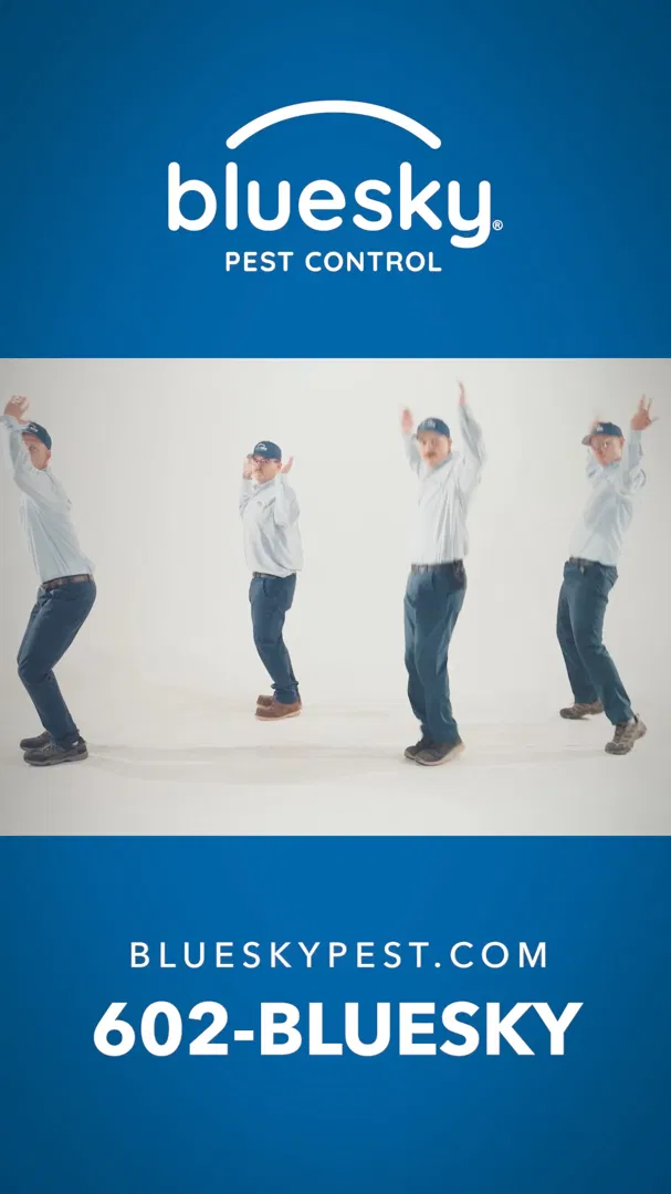 Blue Sky Pest Control ad
