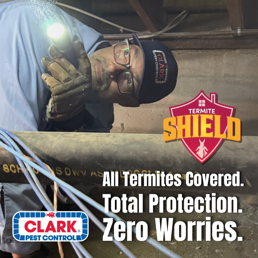 Clark Pest Control ad