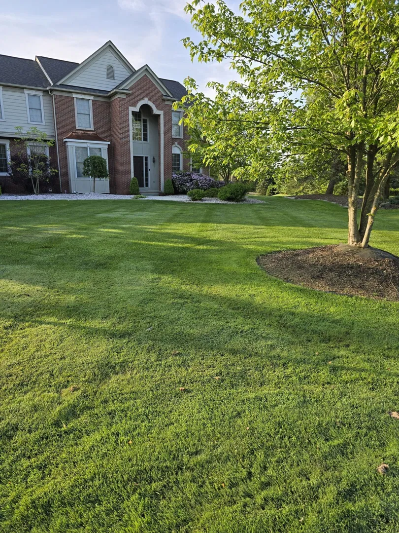 Independent Lawn Service - Fertilization & Weed Control ad