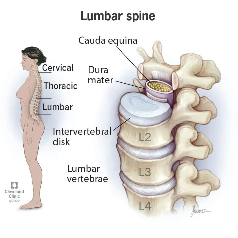 Proactive Chiropractic and Rehab Center - Charlotte Chiropractor ad