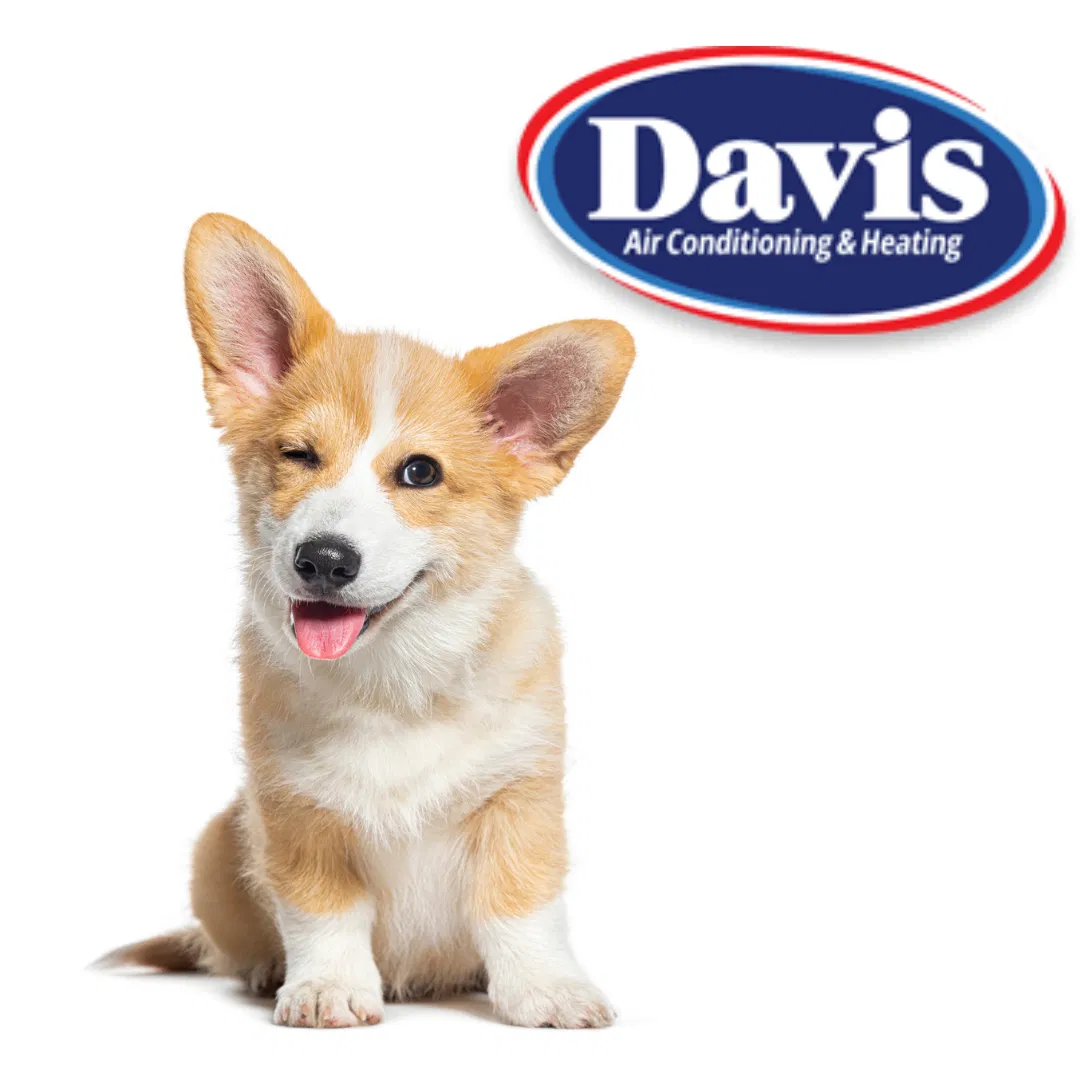 Davis Air Conditioning & Heating, Inc. ad