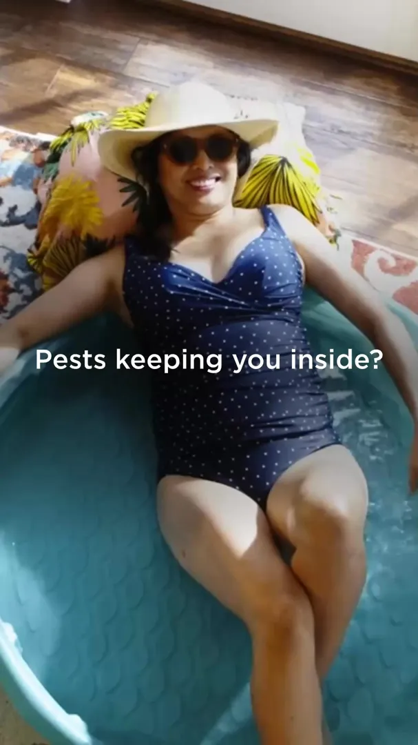 Mosquito Joe of Miami ad
