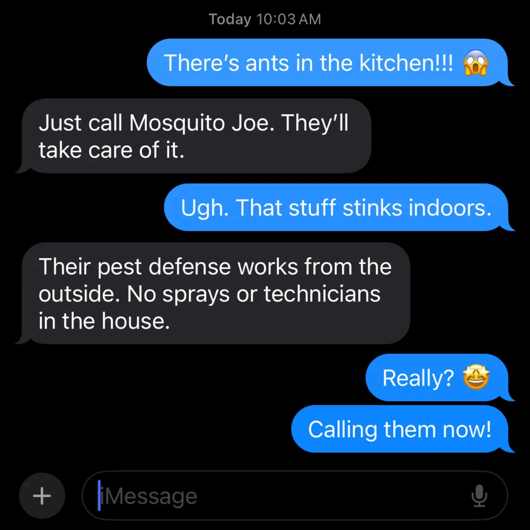 Mosquito Joe of Miami ad