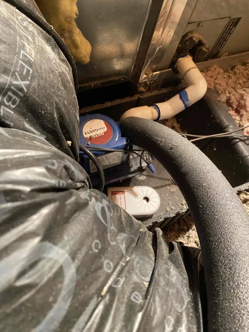 Bell Plumbing, Heating, Cooling & Electrical ad