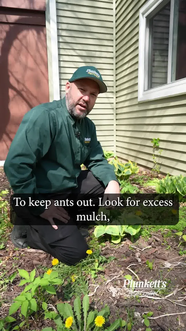 Plunkett's Pest Control ad