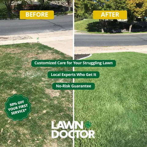 Lawn Doctor of NW Atlanta ad